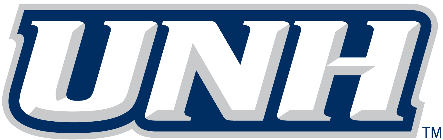 New Hampshire Wildcats 2000-Pres Wordmark Logo v3 iron on transfers for T-shirts